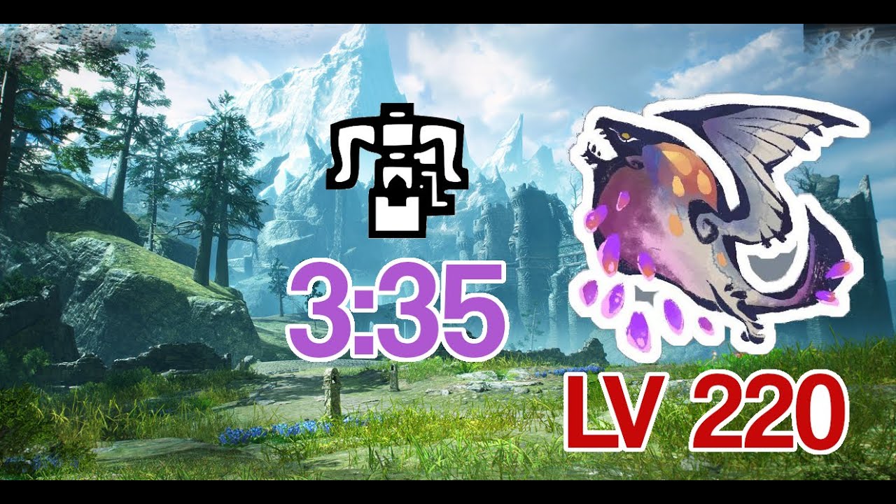 Lv220 Anomaly Investigation Seething Bazelgeuse Heavy Bowgun Shield