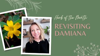 Herb of the Month: Revisiting Damiana | Ashley Elenbaas