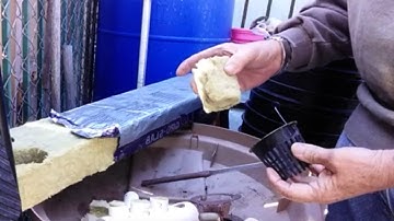 Seed Starting with Rockwool