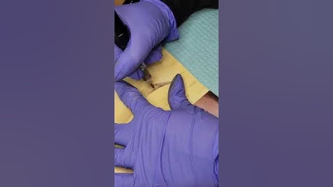 Fundamental Permanent Makeup Training | Ombre / Powder Eyebrow | Signature Ink Institute