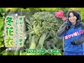 【澤夏推し♡郡山ブランド野菜 冬花衣】澤夏オススメレシピも!!