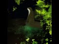 “Foul Magiks” = “Divine Magus” (Discovery) - New Noise Nursery