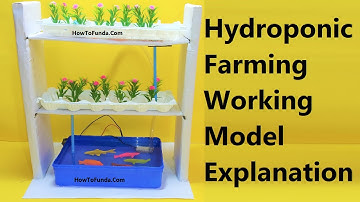 hydroponic farming science project explanation in English | howtofunda | aquaponics