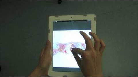 CHI 2014 Pinch-Drag-Flick vs. Spatial Input: Rethinking Zoom & Pan on Mobile Displays