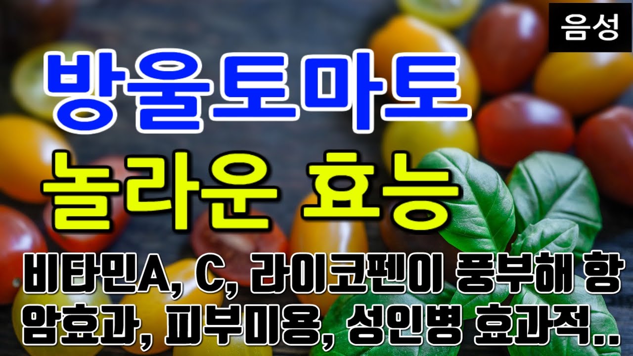 [#방울토마토효과] 방울토마토의 놀라운 효능 10가지 (비타민A, C, 라이코펜이 풍부해 항암효과, 피부미용, 성인병 효과적..)