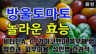 [#방울토마토효과] 방울토마토의 놀라운 효능 10가지 (비타민A, C, 라이코펜이 풍부해 항암효과, 피부미용, 성인병 효과적..)