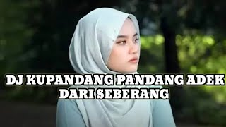 Download lagu DJ TJAP TASSO KUPANDANG PANDANG ADEK DARI SEBERANG Bass Mantap