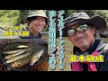 【並木ベース】アユルアー・チェスターで楽しむ牧田川のアユ釣り【O.S.P開発スタッフ鹿目】