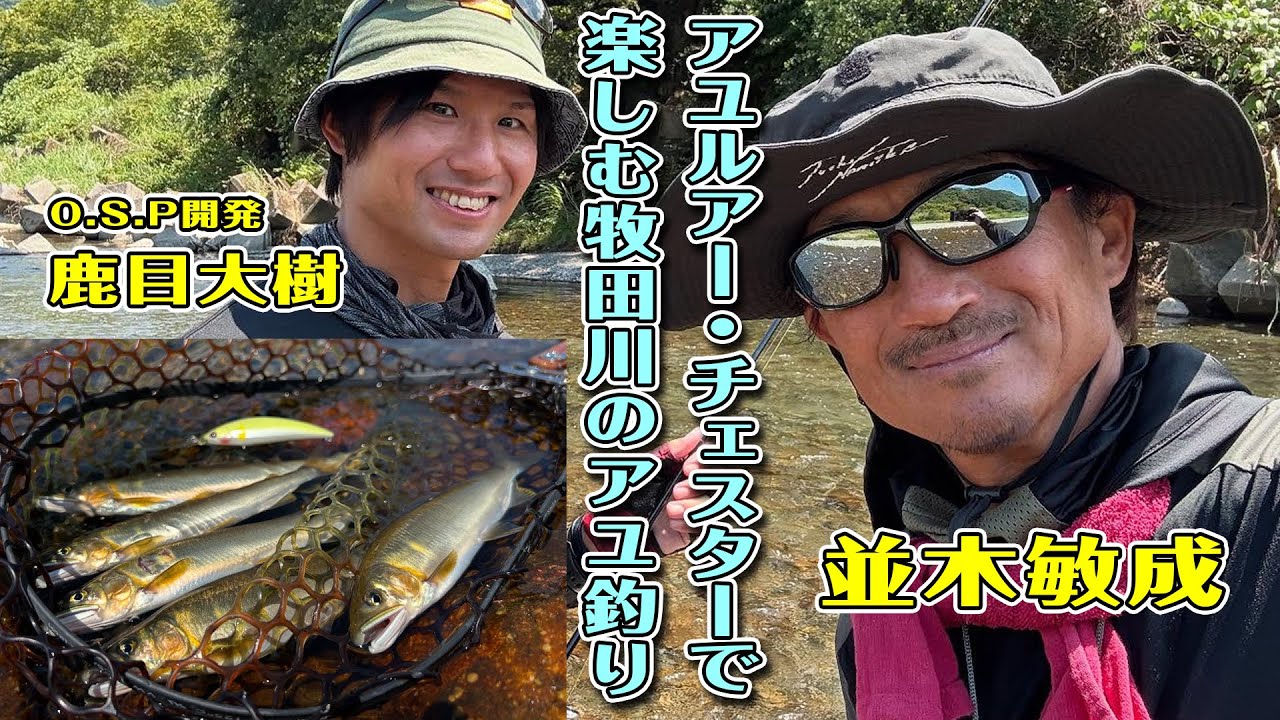 【並木ベース】アユルアー・チェスターで楽しむ牧田川のアユ釣り【O.S.P開発スタッフ鹿目】