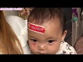 あーちゃん猫パンチ(つД`)ノだーしまファミリー普段の様子