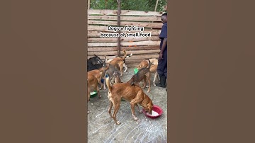 Consider donating via the PayPal link in bio