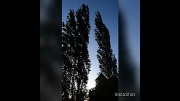 جرجوع جنوب لبنان فيروز الله معك يا هوانا 