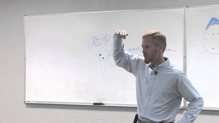 Dr. Todd Carran 1 of 6 Lectures: Understanding Add...