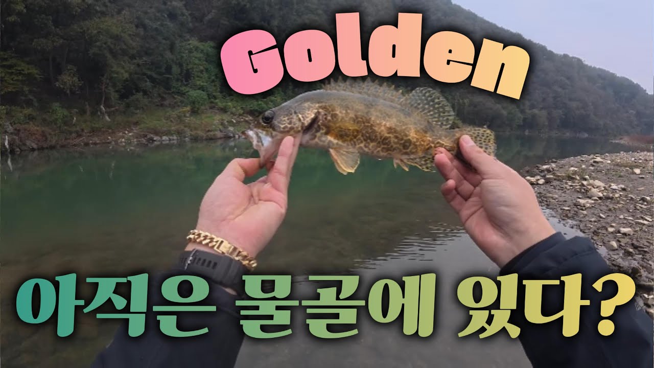 아직 동면터는 아니고 물골라인을 공략!