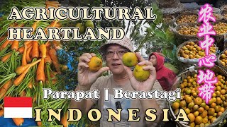 Agricultural Heartland  Parapat to Berastagi  | 农业中心地带 | VHI VHI RESTO | ORANGE FARMS | INDONESIA