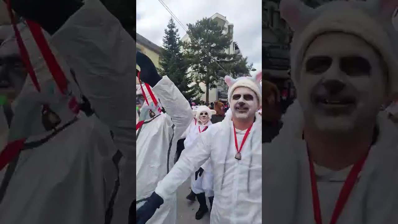 Αποκριάτικη παρέλαση 2026 στην Κοζάνη ( www.kozani.tv)