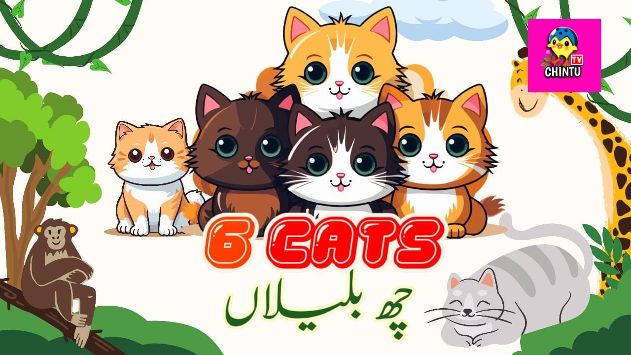 6 billiyan 6 cats Best Scene from Urdu Cartoon Urdu Story YouTube