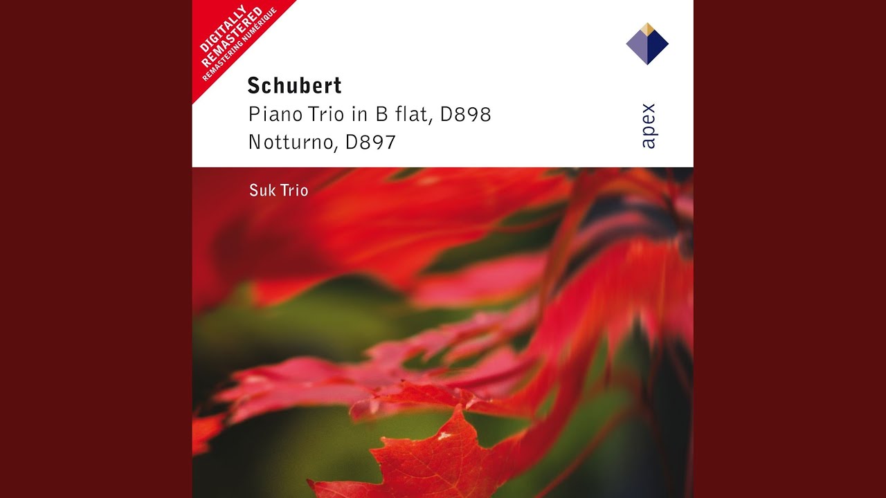 Schubert trio in e flat. шуберт механик слушать. шуберт trio op100. Schubert trio in e flat. 100 ноты.