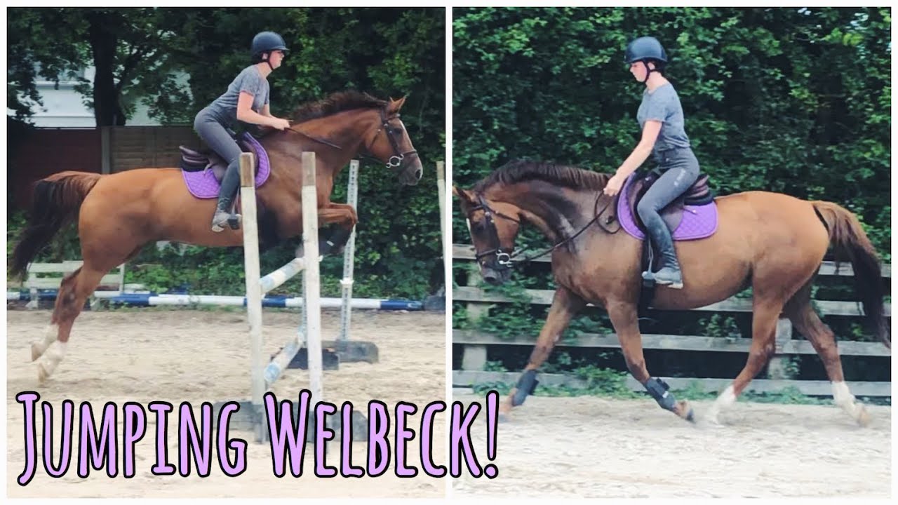 Jumping a Very Excited Horse (and not dying) YouTube