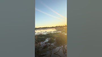 Nebraska duck hunting 🦆 #duck #hunting #duckhunting #waterfowl #nebraska #migration