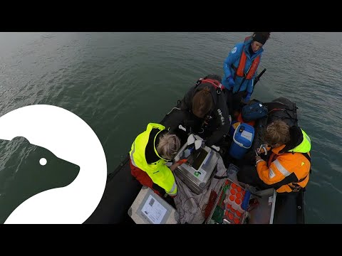 Arctic Explorer - De bodem van de zee