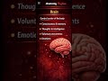 The nervous system is the control and communication system of the body. #NervousSystem #AnatomyLover