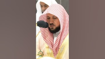 حافظ مكيلي يقرأ القرآن الكريم بصوت رائع. #تلاوات #makkah #kaba #تيك_توك #اكسبلور