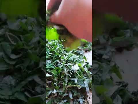 ферментированный #чай#shorts#из#листьев#малины#