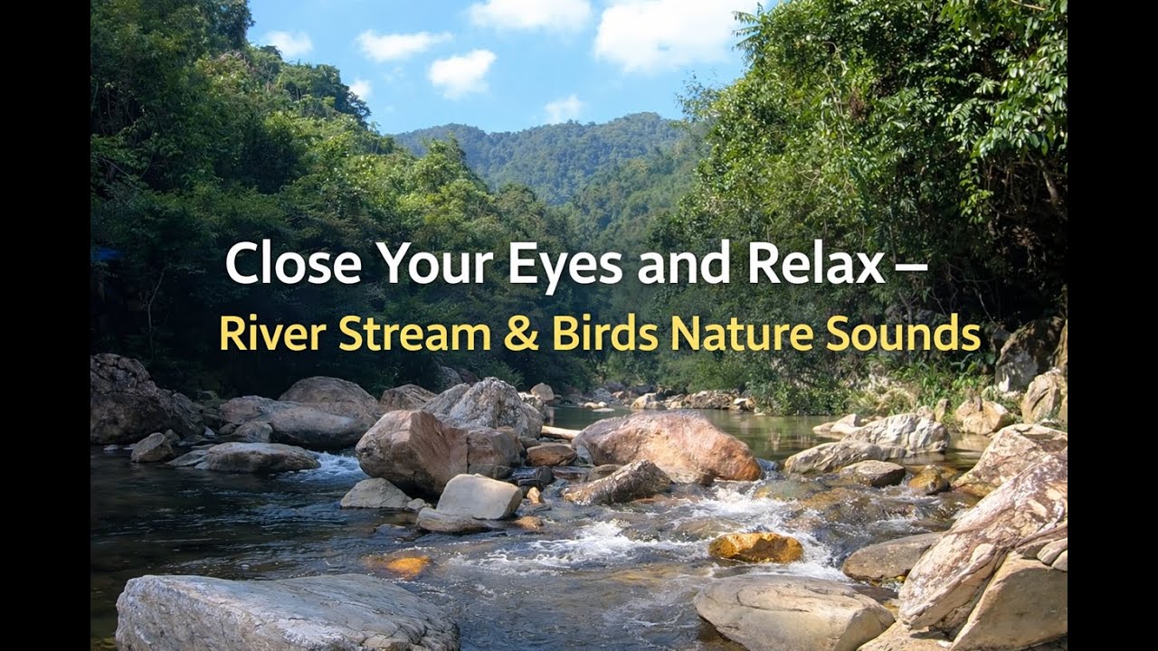 River Stream for 30 Minutes and Let Your Mind Reset