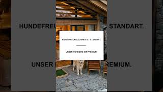 Das Detail, das Hundebesitzer zu Stammgästen macht 🏨 #HundeHotel #Hotellerie #HundeWC