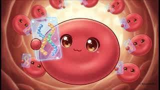 The Secret Superpowers of Sugar (Polysaccharide: structure and function)