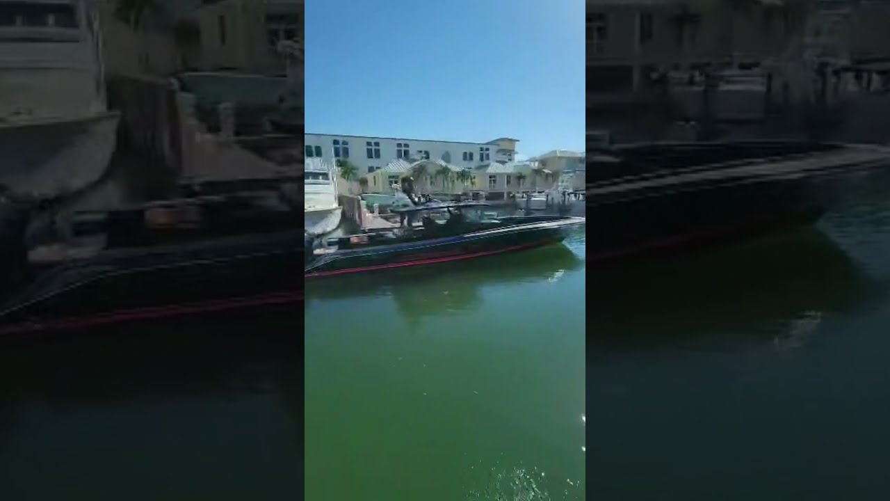 Raw Strength At Rest Marveling The Potent Boat By Dock Shorts Fast Viral Livegood
