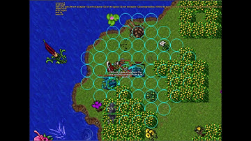 Collapser Tibia Fishing Tutorial