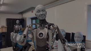 Humanoid Robot