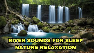 River Sounds For Sleeping 🌉 Nature Riverside Dreams, Gentle ASMR River Sounds for Peaceful Nights