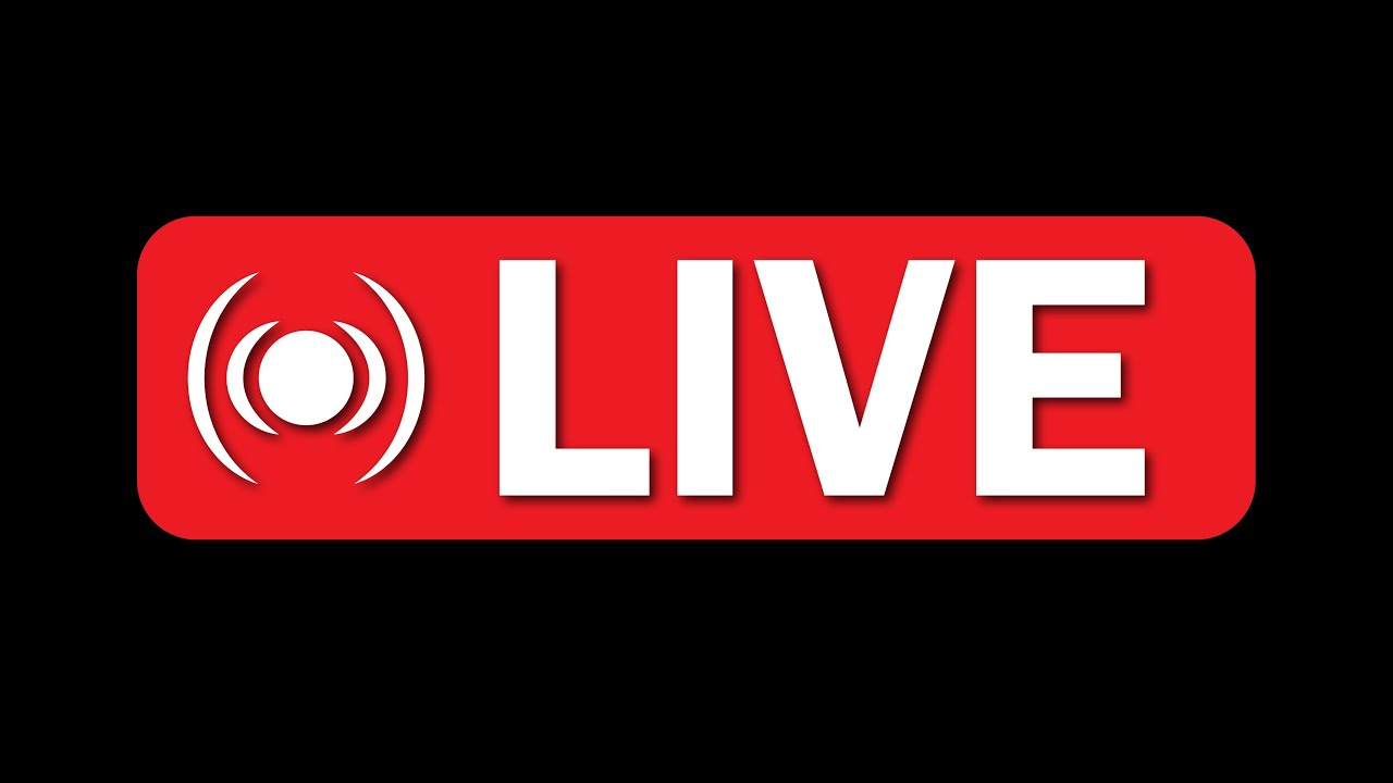 MultiStream (FallGuys and Art)