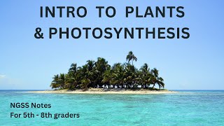 Intro to Plants and Photosynthesis for Middle School. NGSS MS-LS1-6, MS-LS2-1, HS-LS1-5, HS-LS2-5