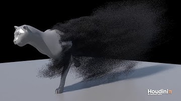Cheetah Attribute transfer using SideFX Houdini