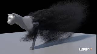 Cheetah Attribute transfer using SideFX Houdini