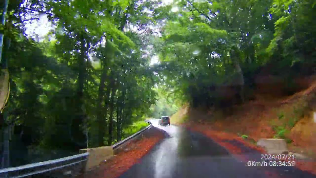 Drum spre Muntele Gaina 21 iulie 2024