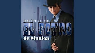 Miniatura de "El Potro de Sinaloa - Ojos A Mi Gusto"
