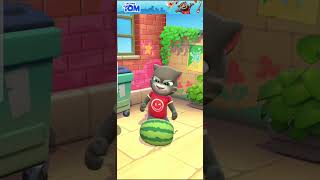 MY TALKING TOM CAT NEW GAME NEW CARTOONS screenshot 4
