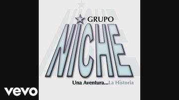 Grupo Niche - Te Enseñare A Olvidar (Cover Audio Video)
