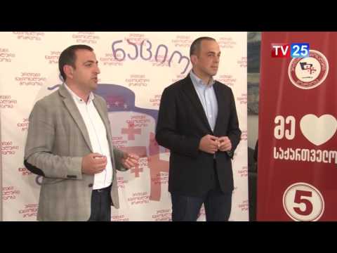 საარჩევნო სამზადისი ენმ-ში