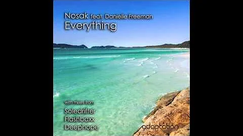 AM051 Nosak feat. Danielle Freeman - Everything (Deephope Remix)