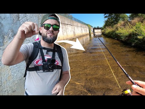 Vidéo: Qu'est-ce que la pêche en rivière blanche ?