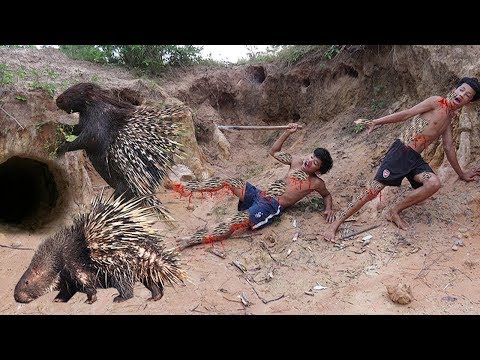 شابان تعرضا لهجوم من قنفذ ضخم لن تصد ق