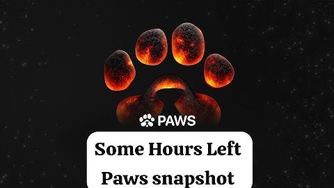 Paws Multiple Accounts Wallet Connect Process | Paws Phantom Wallet Connect Problemn | PawsWallet