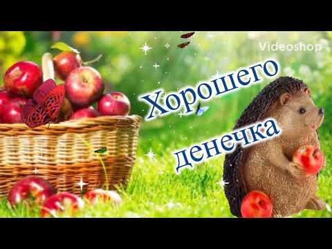 Доброе утречко и прекрасного дня, желаю я вам! С добрым утром, просыпайся! Музыкальная открытка!
