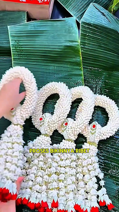 Bunga di Thailand Ini Dikira Palsu, Ternyata Asli! 😲💐
